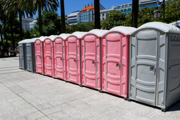 Types of Portable Toilets We Offer in Elmo, TX